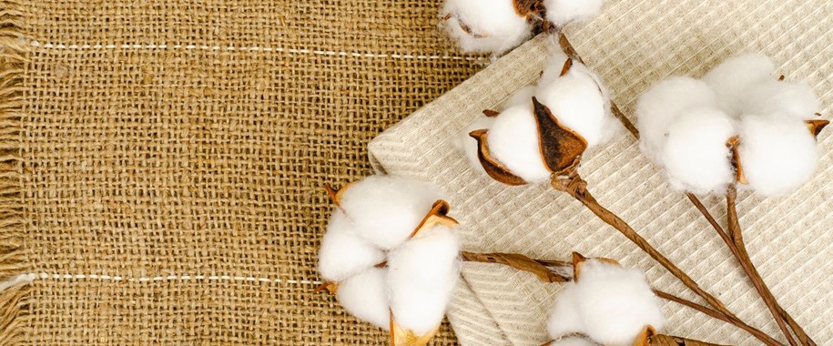 What is Egyptian Cotton? Unveiling the Secrets of Luxurious Linens