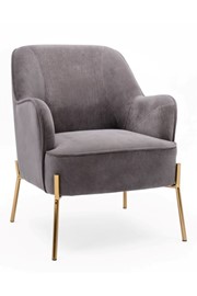 Mia Grey Velvet Accent Chair