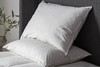 Simply Sleep 2 Pack Duck Feather Pillow