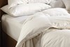 Snuggle Non Allergenic Hollowfibre Duvet