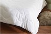 Snuggle Cotton Microfibre Duvet