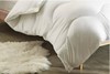 Snuggle Cotton Microfibre Duvet