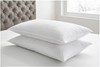 Snuggle Cotton Microfibre Pillow