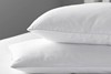 Snuggle Cotton Microfibre Pillow