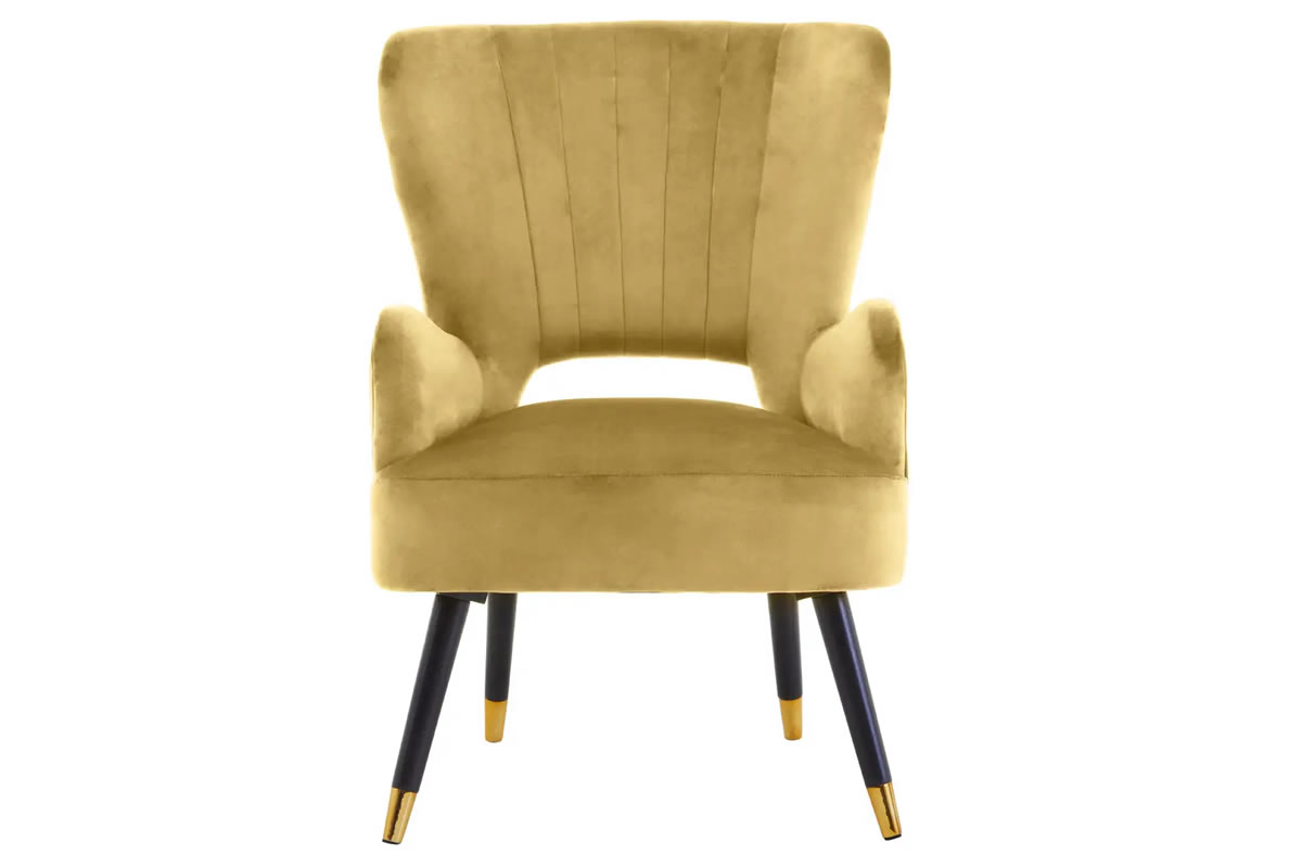 View Loretta Pistachio Velvet Chair Contemporary Design CutOut Design On Back Panel Deeply Padded Sponge Cushion Sturdy Wooden Legs information