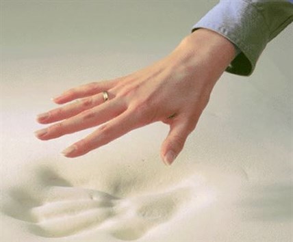 reflex foam hand print