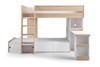 Eclipse Bunkbed