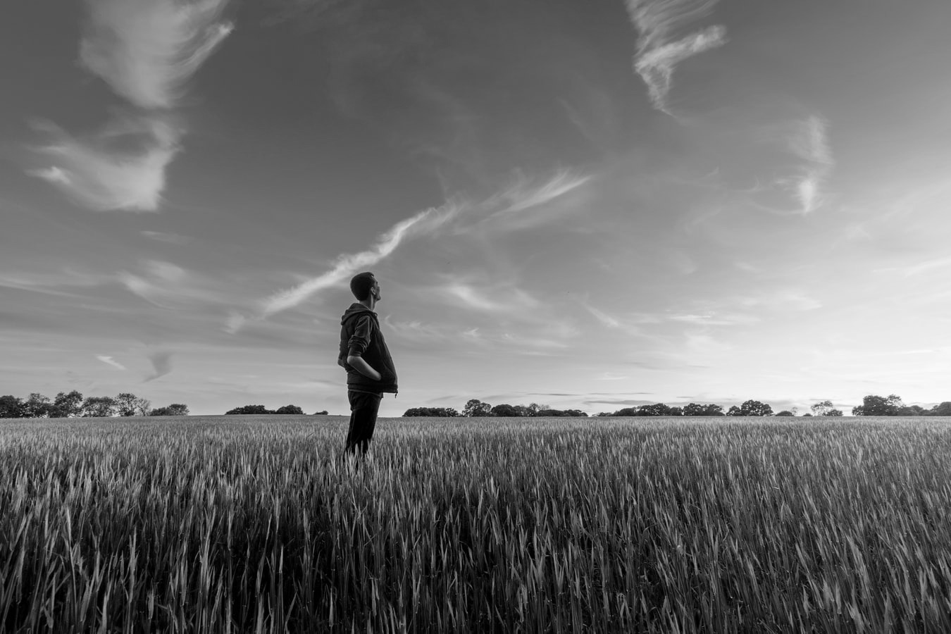 dreaming in a field